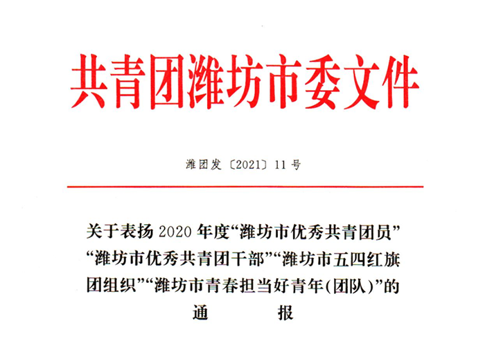 优秀共青团员.png