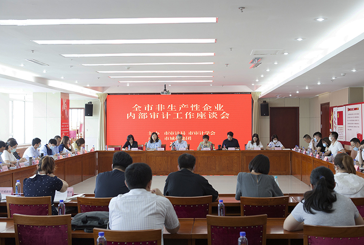 审计工作座谈会.jpg
