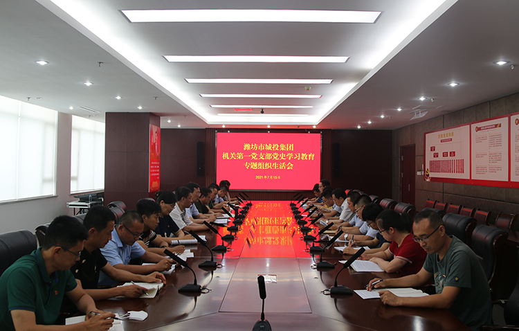 一支部组织生活会.jpg