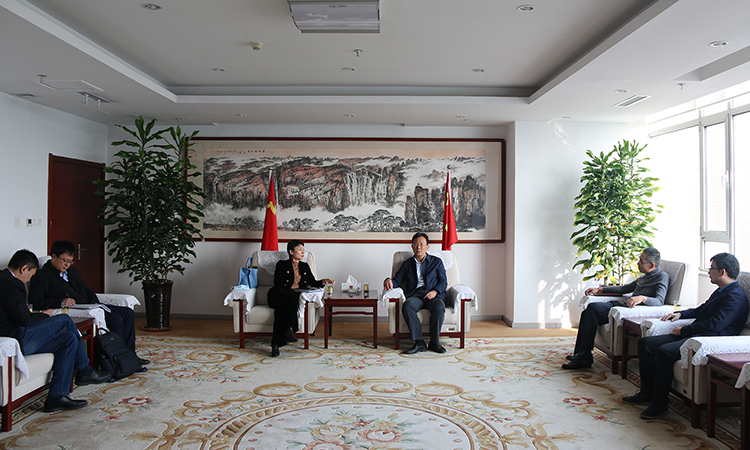 国投鲁康.jpg