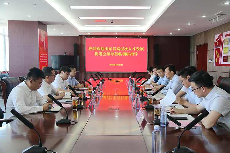 高层次指导.jpg