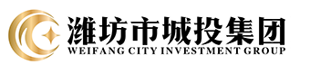 城投logo.png