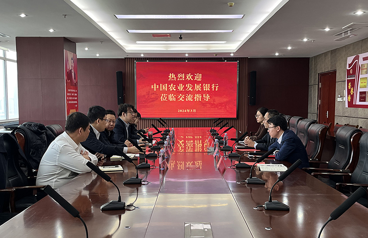 农发行306.jpg