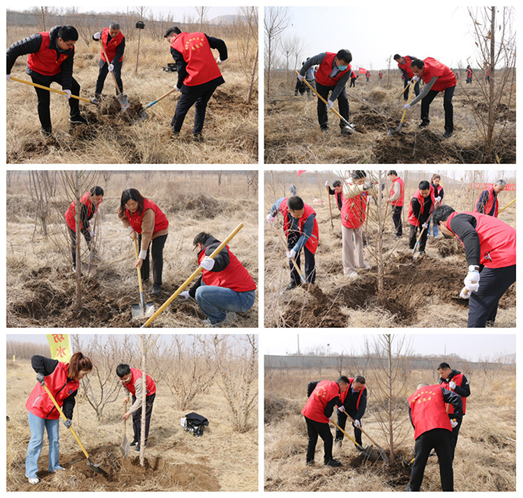 植树312.jpg